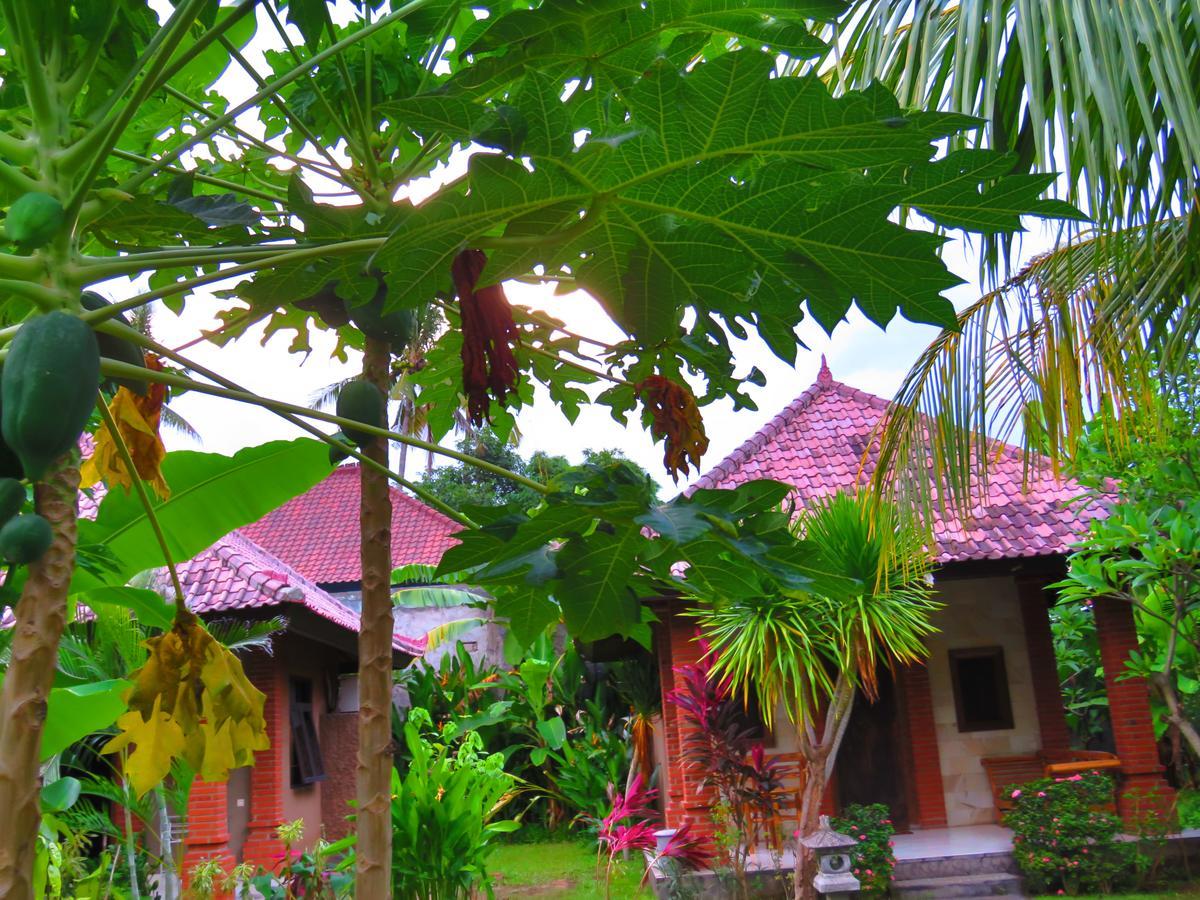 Suka Sari Cottages Pemuteran Dış mekan fotoğraf