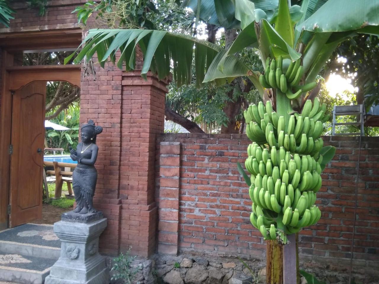 Suka Sari Cottages Pemuteran Dış mekan fotoğraf