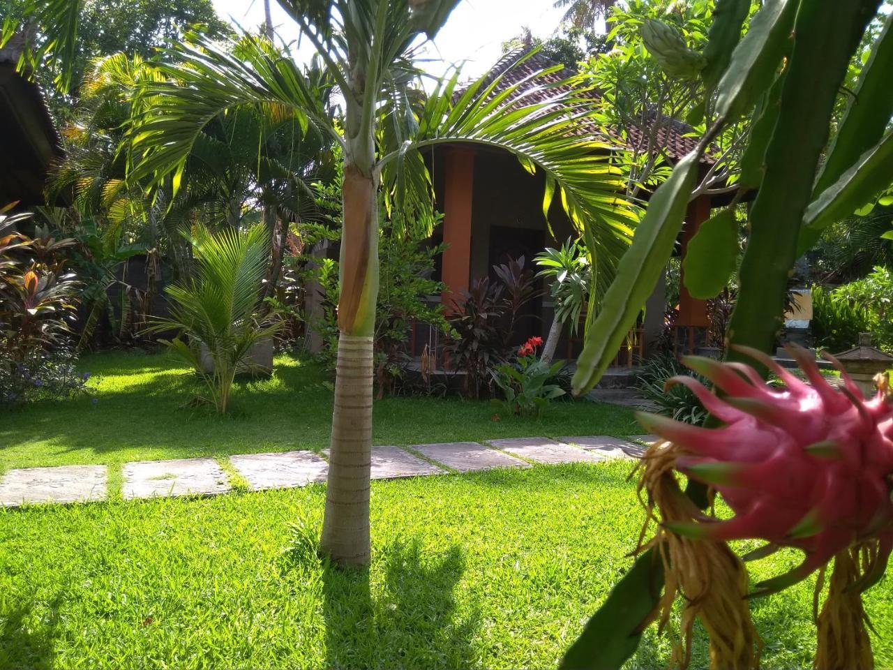 Suka Sari Cottages Pemuteran Dış mekan fotoğraf
